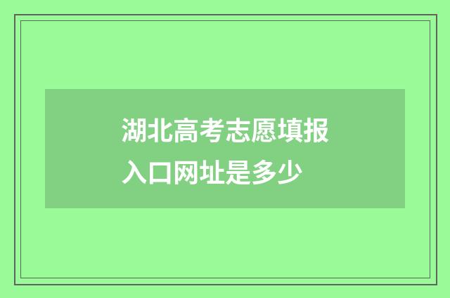 湖北高考志愿填报入口网址是多少