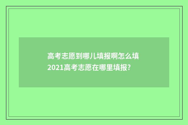 高考志愿到哪儿填报啊怎么填 2021高考志愿在哪里填报?