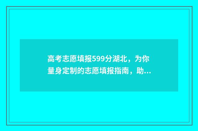 高考志愿填报599分湖北，为你量身定制的志愿填报指南，助你圆梦理想高校 高考志愿填报服务平台