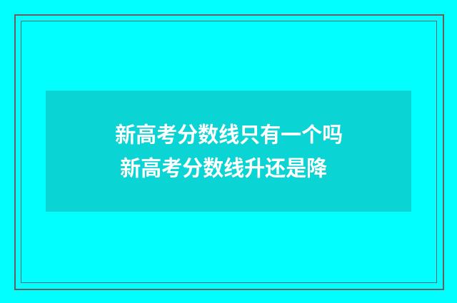新高考分数线只有一个吗 新高考分数线升还是降