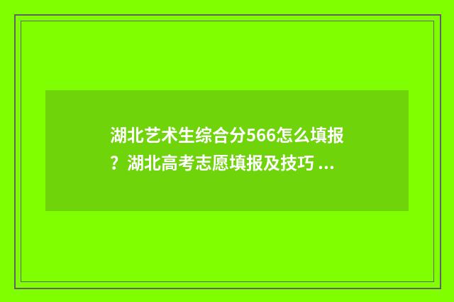 湖北艺术生综合分566怎么填报？湖北高考志愿填报及技巧 湖北艺术生综合分560分能进什么大学