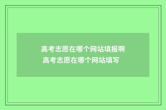 高考志愿在哪个网站填报啊 高考志愿在哪个网站填写