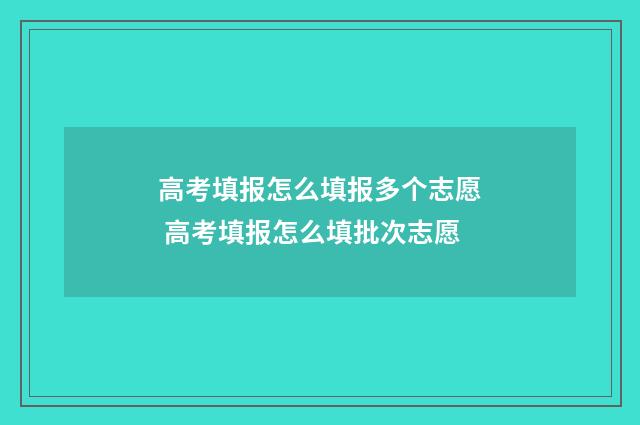 高考填报怎么填报多个志愿 高考填报怎么填批次志愿