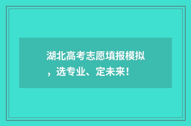 湖北高考志愿填报模拟，选专业、定未来！