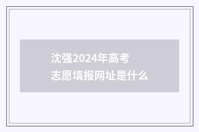 沈强2024年高考志愿填报网址是什么