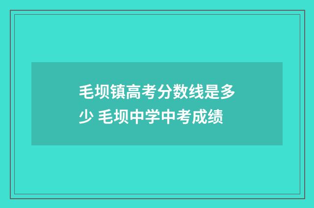 毛坝镇高考分数线是多少 毛坝中学中考成绩