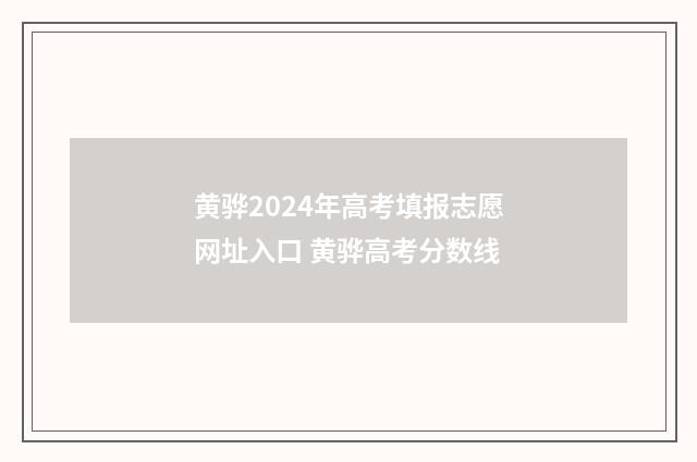 黄骅2024年高考填报志愿网址入口 黄骅高考分数线