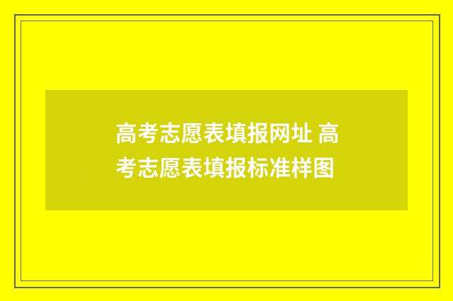高考志愿表填报网址 高考志愿表填报标准样图
