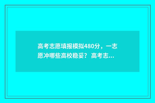 高考志愿填报模拟480分，一志愿冲哪些高校稳妥？ 高考志愿填报模拟填报系统官网