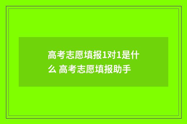 高考志愿填报1对1是什么 高考志愿填报助手