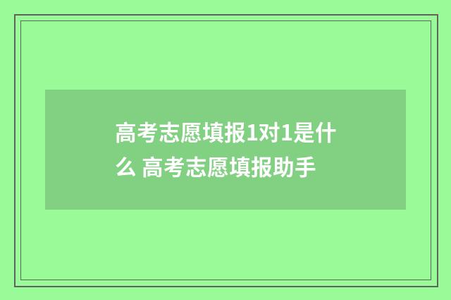高考志愿填报1对1是什么 高考志愿填报助手