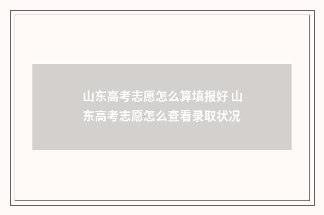 山东高考志愿怎么算填报好 山东高考志愿怎么查看录取状况