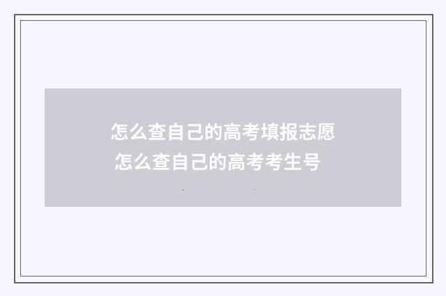 怎么查自己的高考填报志愿 怎么查自己的高考考生号