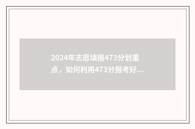 2024年志愿填报473分划重点，如何利用473分报考好大学 2024年志愿填报志指南