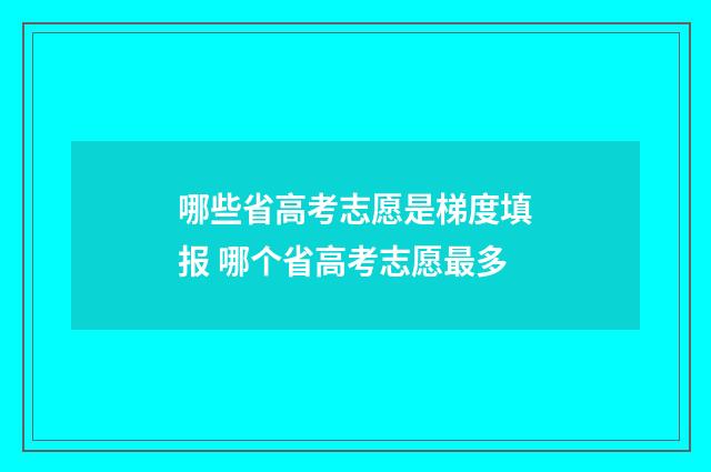 哪些省高考志愿是梯度填报 哪个省高考志愿最多