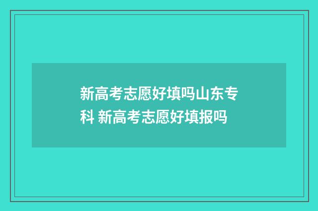 新高考志愿好填吗山东专科 新高考志愿好填报吗