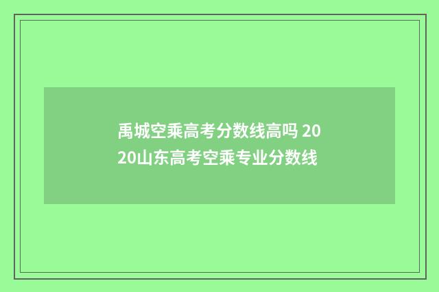 禹城空乘高考分数线高吗 2020山东高考空乘专业分数线