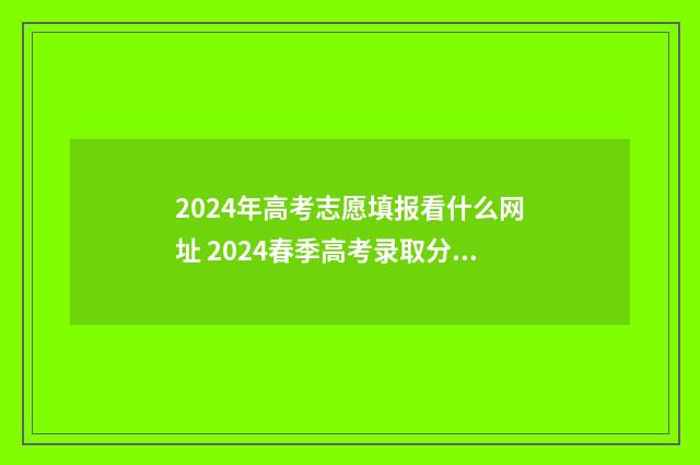2024年高考志愿填报看什么网址 2024春季高考录取分数线