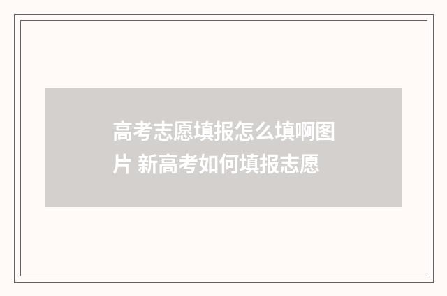 高考志愿填报怎么填啊图片 新高考如何填报志愿