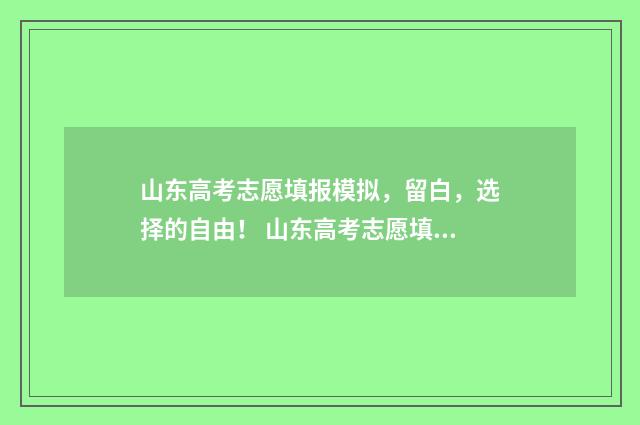 山东高考志愿填报模拟，留白，选择的自由！ 山东高考志愿填报