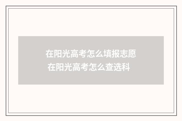 在阳光高考怎么填报志愿 在阳光高考怎么查选科
