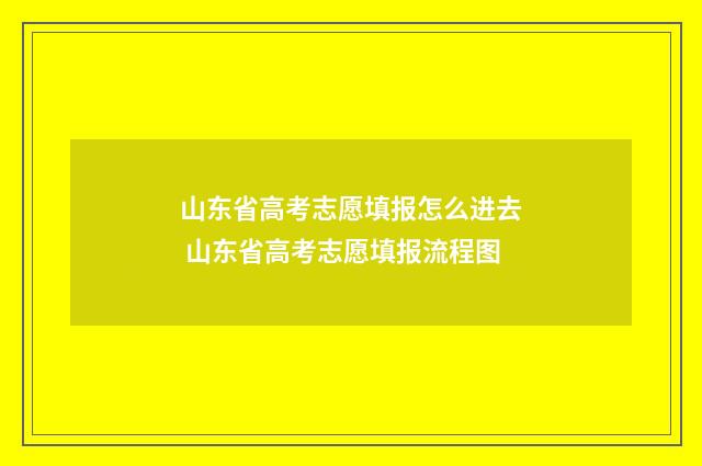 山东省高考志愿填报怎么进去 山东省高考志愿填报流程图