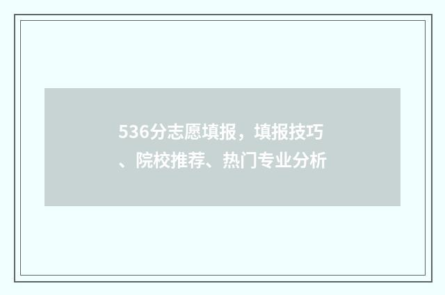 536分志愿填报，填报技巧、院校推荐、热门专业分析