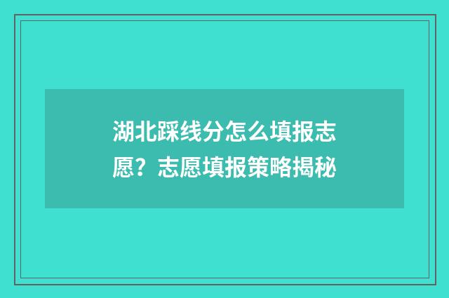 湖北踩线分怎么填报志愿？志愿填报策略揭秘