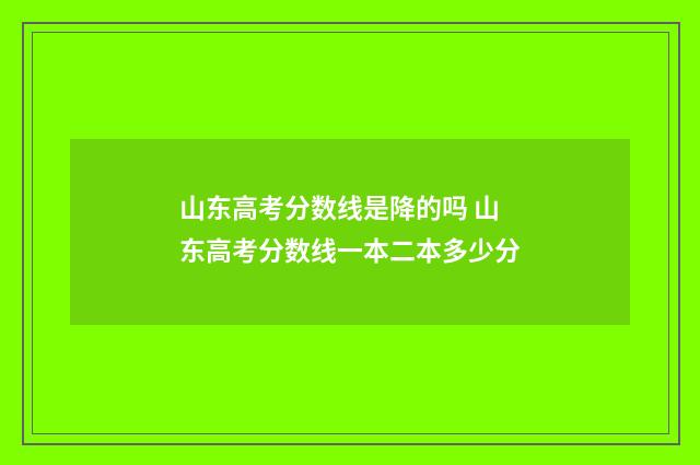 山东高考分数线是降的吗 山东高考分数线一本二本多少分
