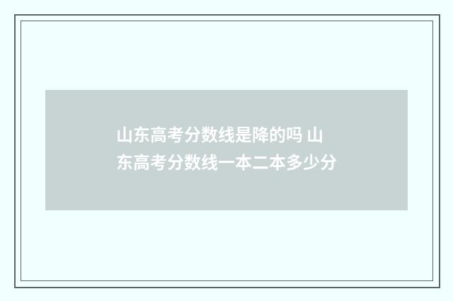 山东高考分数线是降的吗 山东高考分数线一本二本多少分