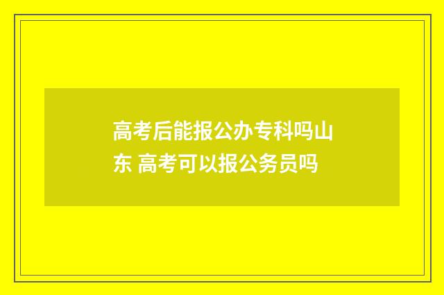 高考后能报公办专科吗山东 高考可以报公务员吗