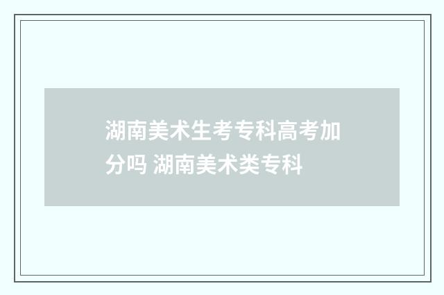 湖南美术生考专科高考加分吗 湖南美术类专科