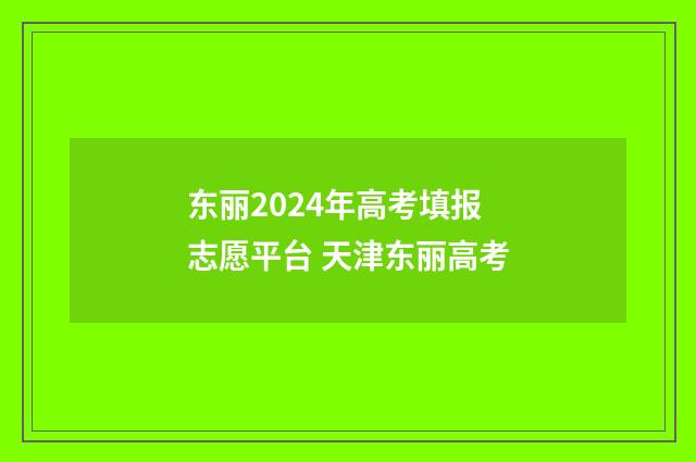 东丽2024年高考填报志愿平台 天津东丽高考