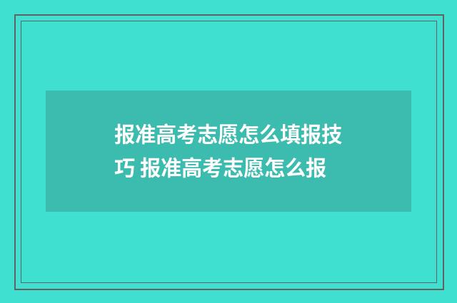 报准高考志愿怎么填报技巧 报准高考志愿怎么报