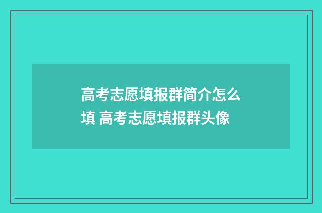 高考志愿填报群简介怎么填 高考志愿填报群头像