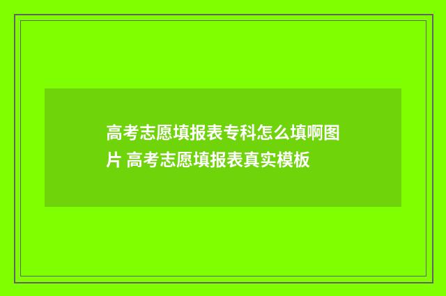 高考志愿填报表专科怎么填啊图片 高考志愿填报表真实模板