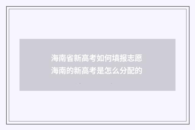 海南省新高考如何填报志愿 海南的新高考是怎么分配的