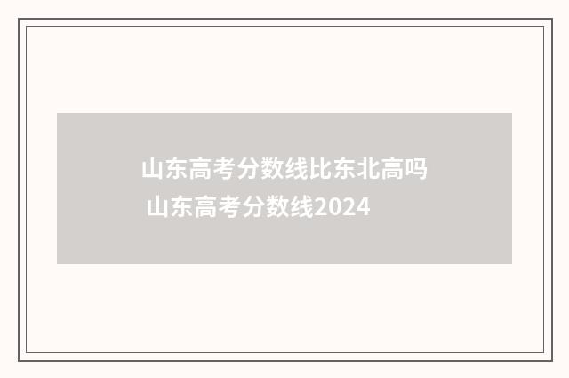 山东高考分数线比东北高吗 山东高考分数线2024