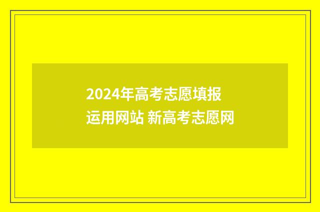 2024年高考志愿填报运用网站 新高考志愿网