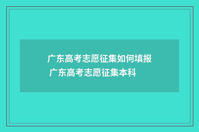 广东高考志愿征集如何填报 广东高考志愿征集本科