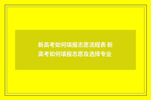 新高考如何填报志愿流程表 新高考如何填报志愿及选择专业