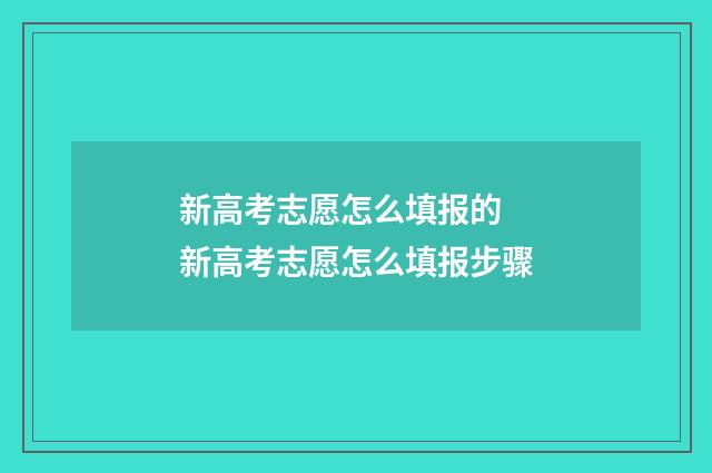 新高考志愿怎么填报的 新高考志愿怎么填报步骤
