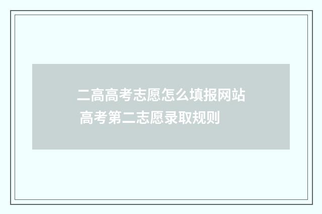 二高高考志愿怎么填报网站 高考第二志愿录取规则