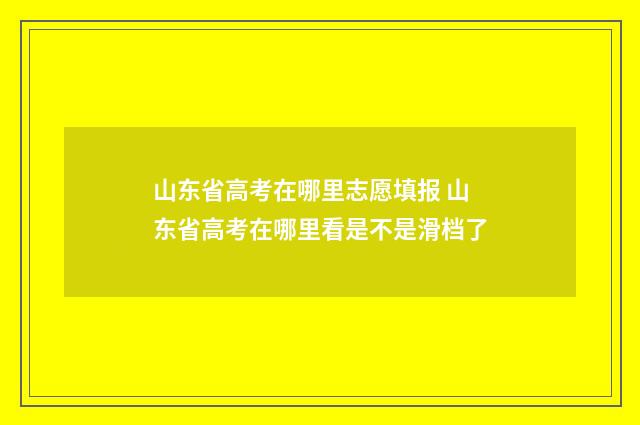 山东省高考在哪里志愿填报 山东省高考在哪里看是不是滑档了