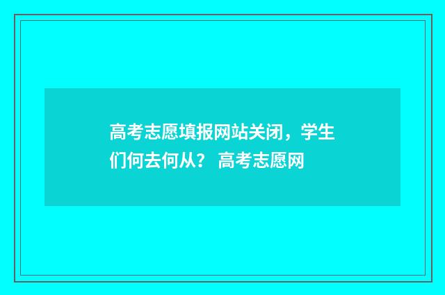 高考志愿填报网站关闭，学生们何去何从？ 高考志愿网