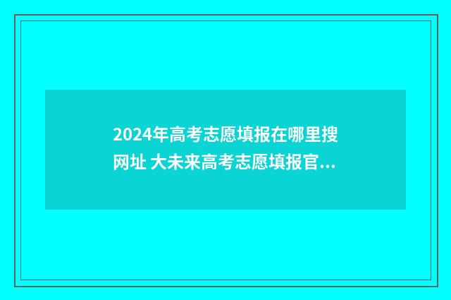 2024年高考志愿填报在哪里搜网址 大未来高考志愿填报官网