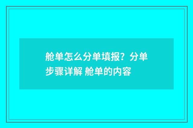 舱单怎么分单填报？分单步骤详解 舱单的内容