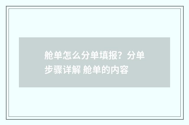 舱单怎么分单填报？分单步骤详解 舱单的内容