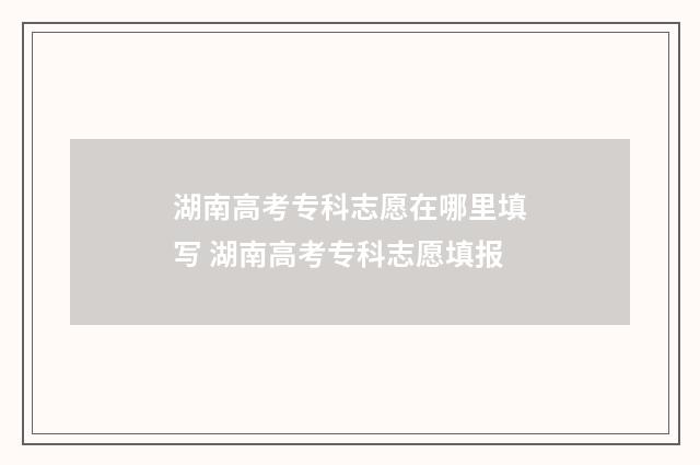 湖南高考专科志愿在哪里填写 湖南高考专科志愿填报