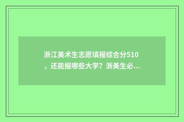 浙江美术生志愿填报综合分510，还能报哪些大学？浙美生必看！ 浙江美术生志愿填报